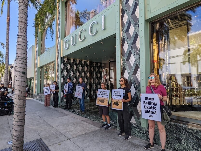 actvists protest exotic skins at louis vuitton beverly hills