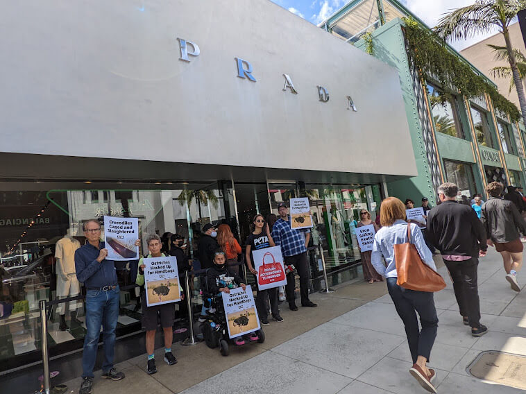 exotic skins protest at prada beverly hills