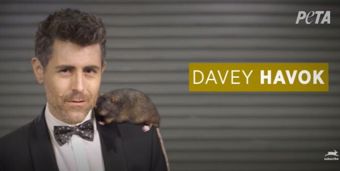 Davey Havok: Forced Swim Test