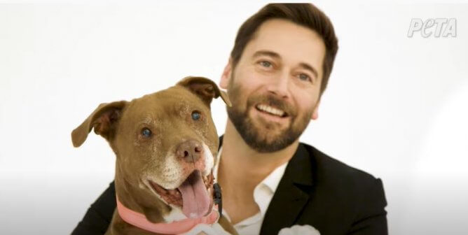 Ryan Eggold: Adopt, Don’t Shop 0:60