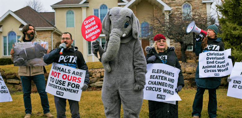 Protest for Elephants Hits Close to Home for State Agency CEO