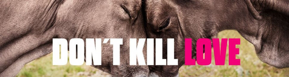 Don’t Kill Love. Go Vegan (Cow)