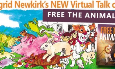 Join Ingrid as She Shares Daring Rescues From the New Special Edition of ‘Free the Animals’