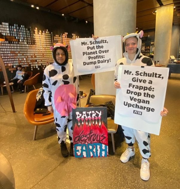 two PETA supporters in cow costumes urge Starbucks to drop the vegan milk surcharge