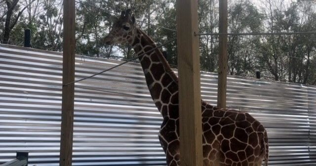 Houston Interactive Aquarium Got More Citations and an Official Warning From the USDA