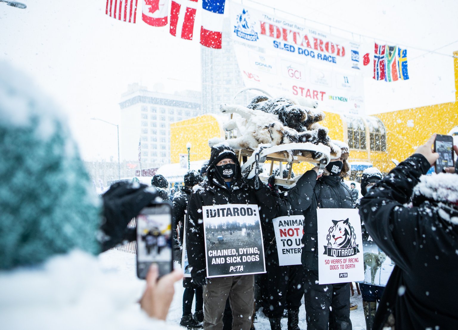 2023 Iditarod Winner Is a Loser to Dogs PETA