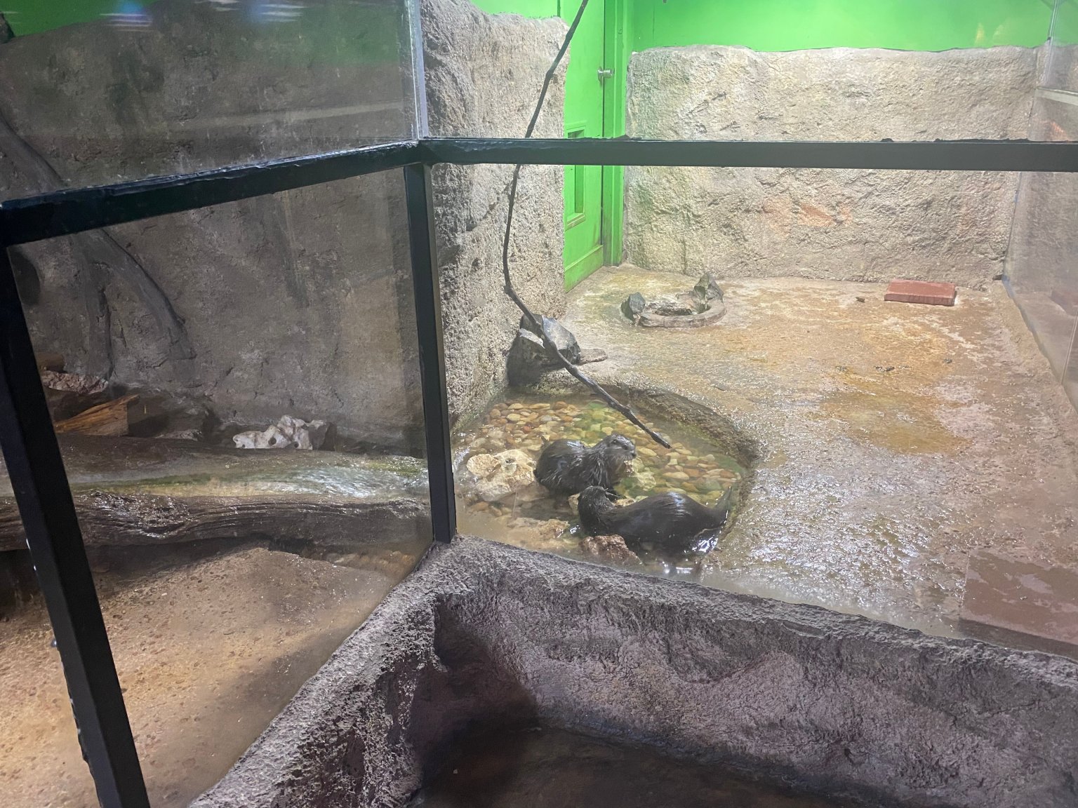 Austin Aquarium Left Infant in TINY Cage Overnight PETA