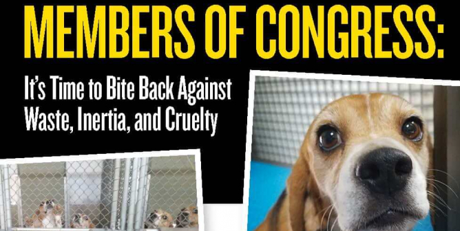 Members Of Congress: It’s Time To Bite Back Against Waste, Intertia, And Cruelty