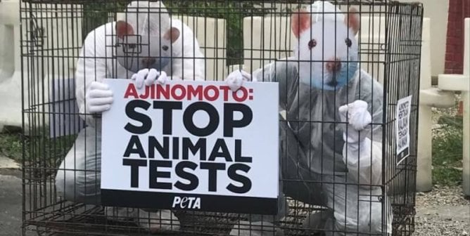 PETA ‘Rats’ hit Ajinomoto’s offices in Malaysia to tell company to end horrific tests on animals