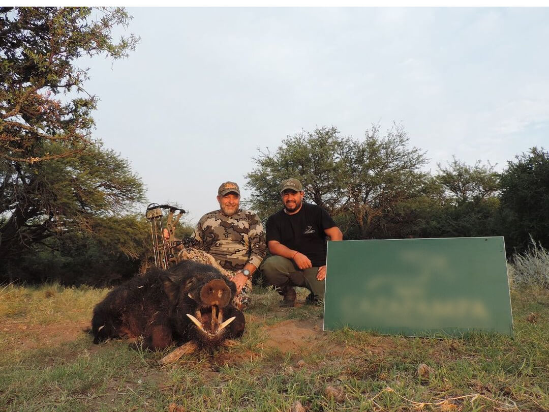 hunters in argentina display a boar