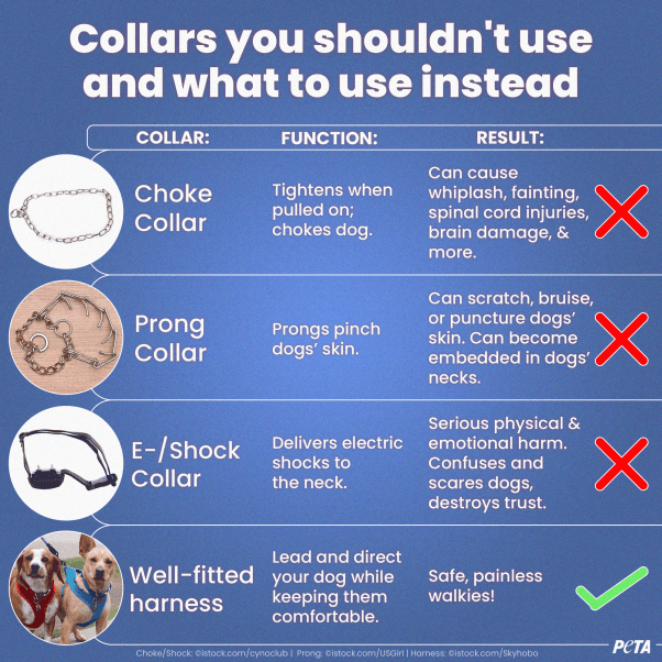 Different types of collars