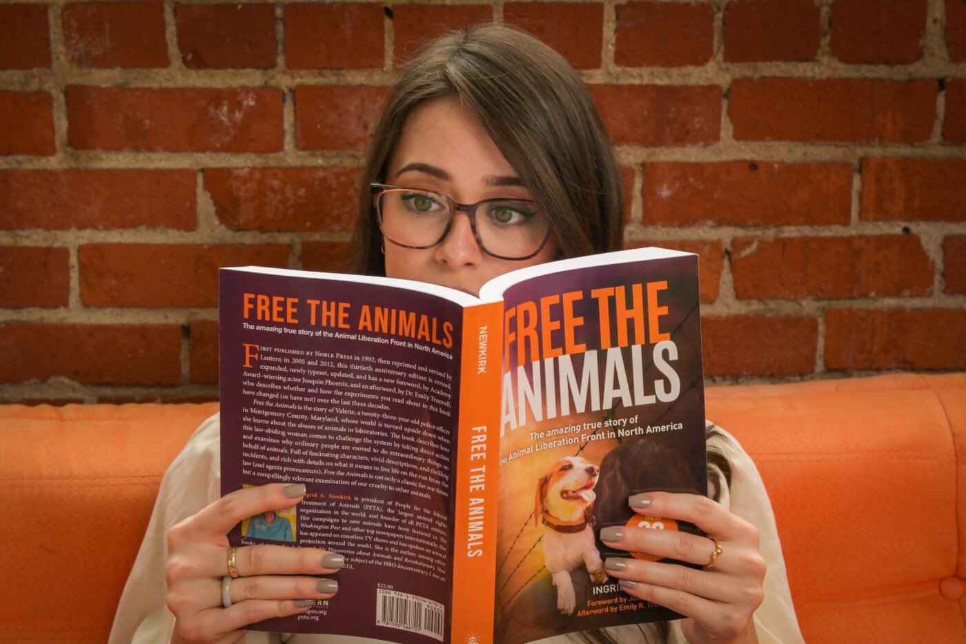Free the animals on orange couch
