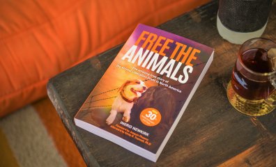 Available for Pre-Order: 17 Monkeys Changed One Cop’s Life Forever—Find Out How!