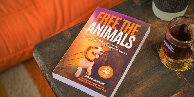 Available for Preorder: 17 Monkeys Changed One Cop’s Life Forever—Find Out How!