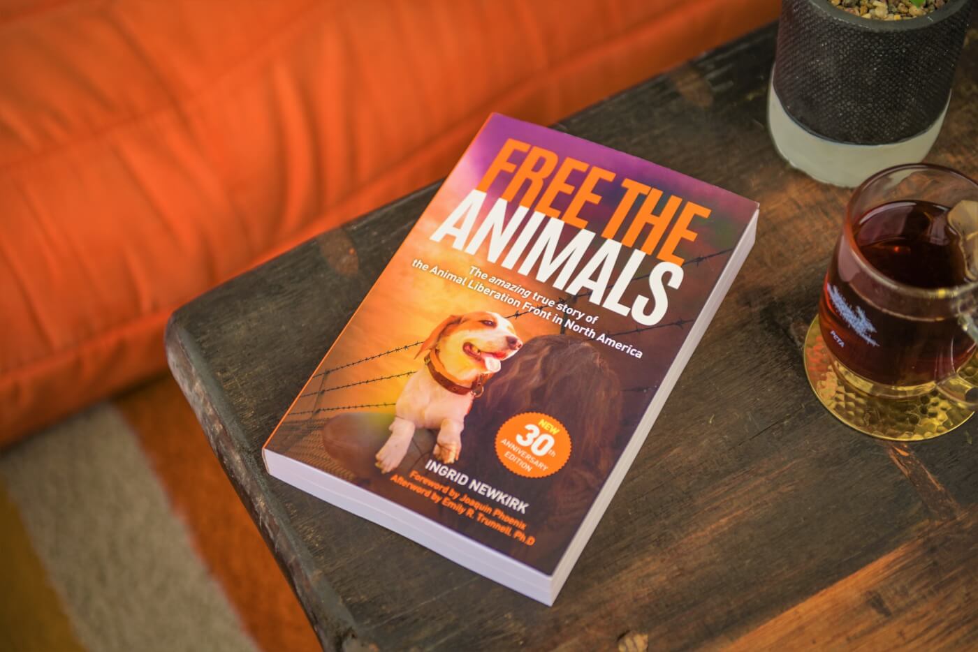 Free the animals on coffee table