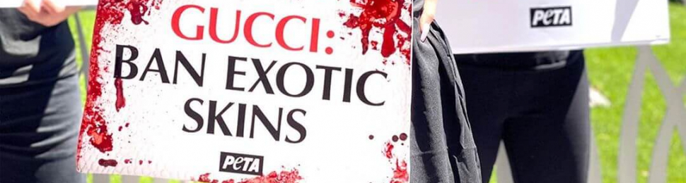 Week of Action to Take Down Exotic Skins