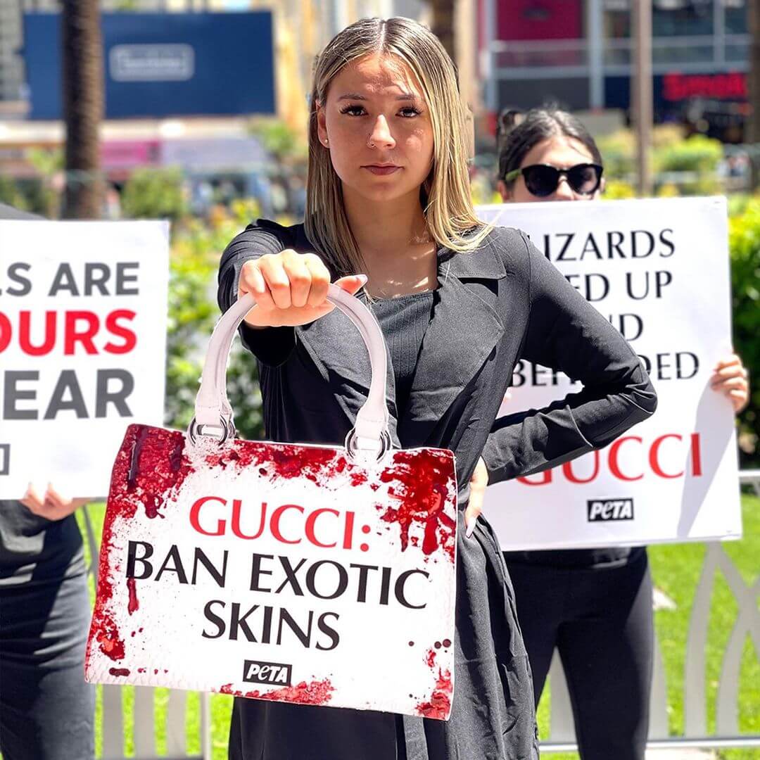 gucci demo las vegas Photos: Week of Action to Take Down Exotic Skins