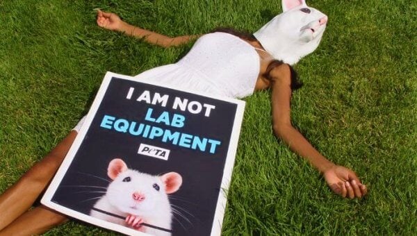 not lab equipment protest