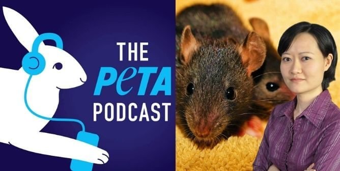 Go Behind the Scenes at PETA With Our New Podcast