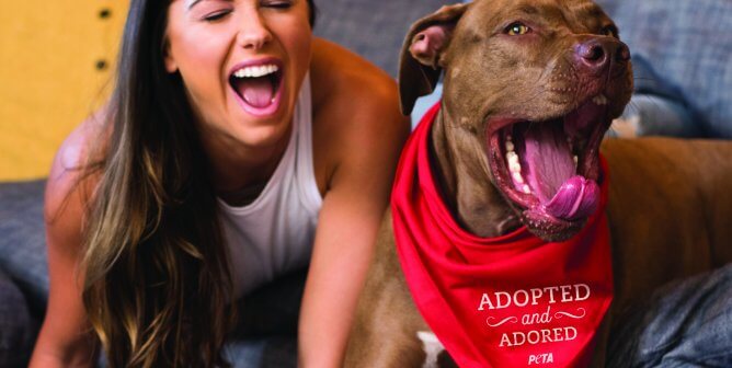 Alex Morgan: Treat Your Dogs Like Family
