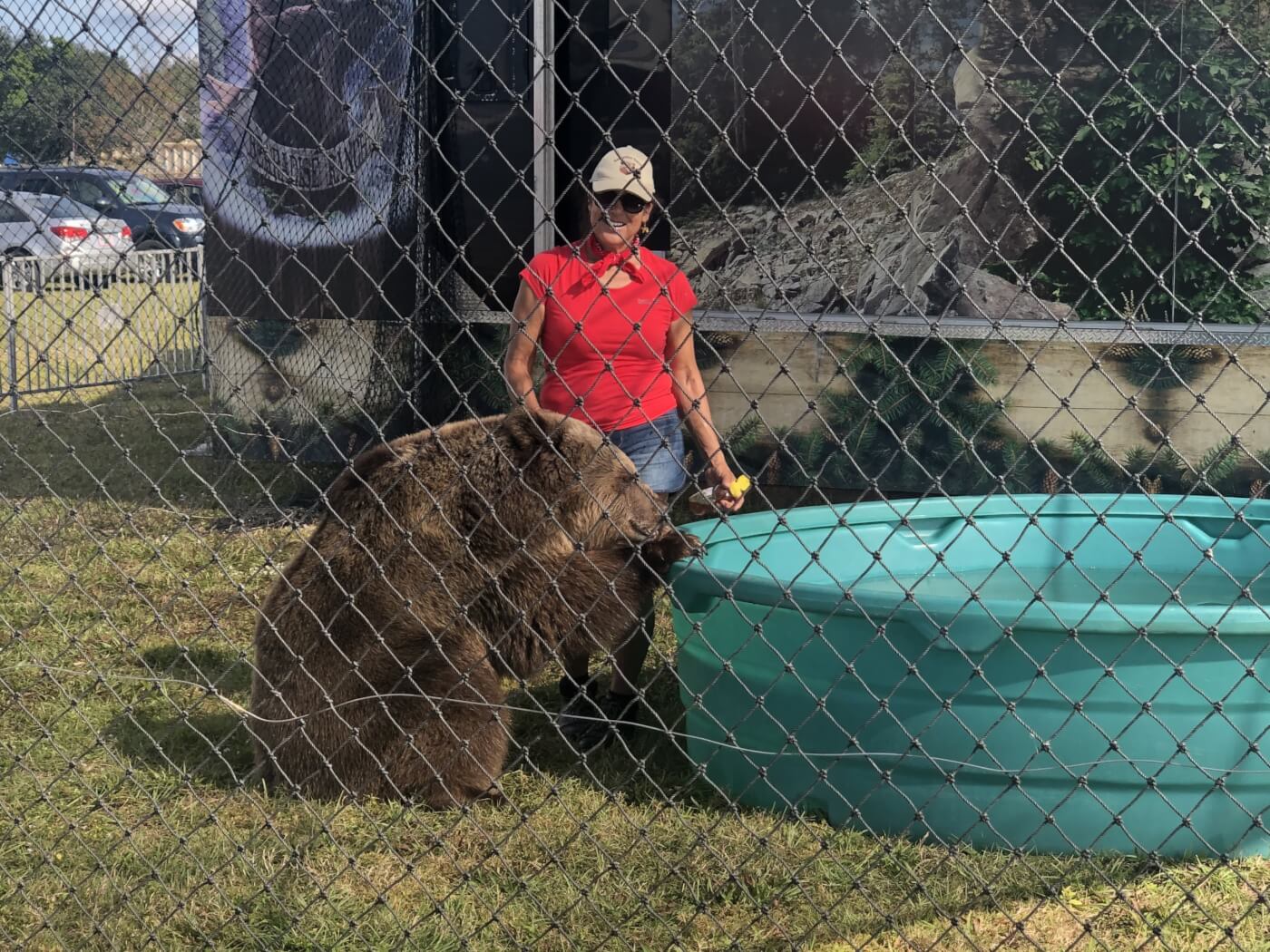 Bearadise Ranch cited after news crew pets, feeds bear