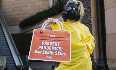 Big News: Burberry Bans Exotic Skins Following PETA Entities’ Campaigns!