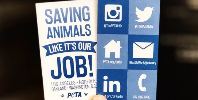 A blue and white card reads 'Saving Animals Like It's Our Job!'