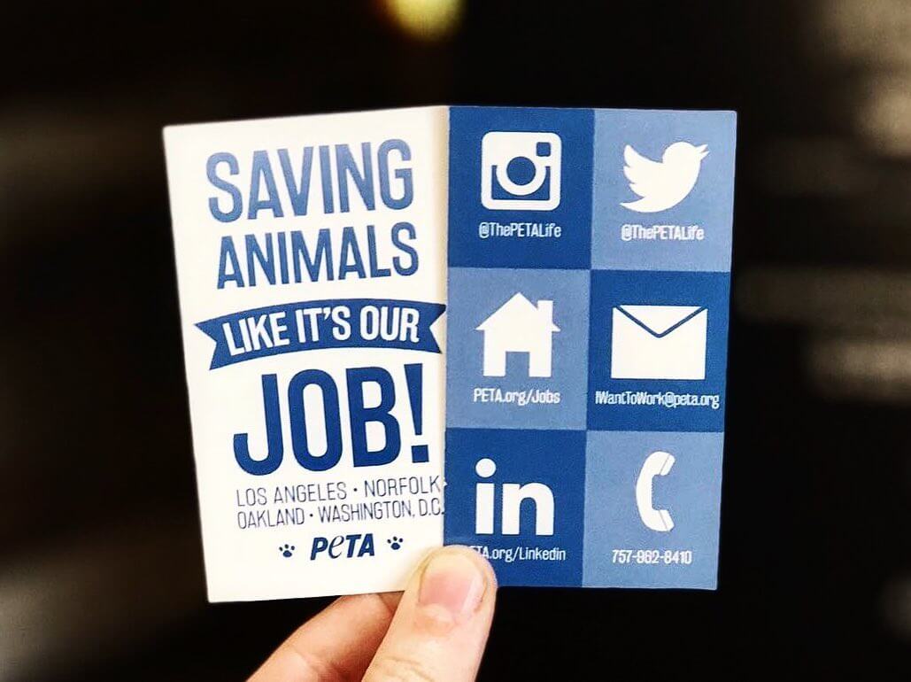 A blue and white card reads 'Saving Animals Like It's Our Job!'