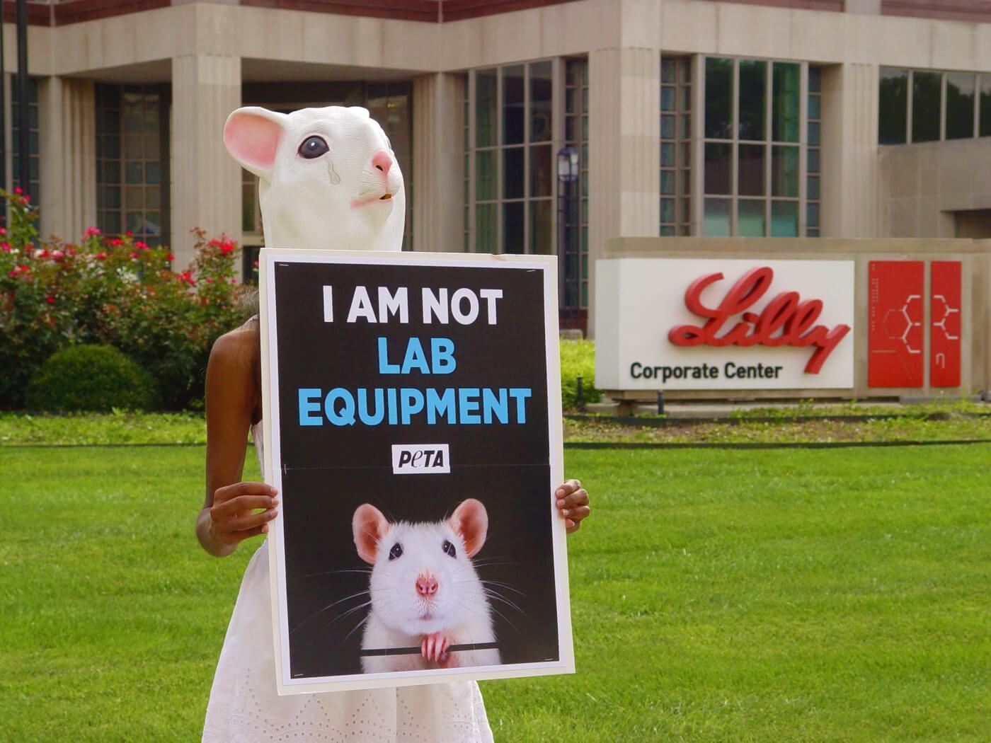 Protester in mouse mask holding sign against forced swim test
