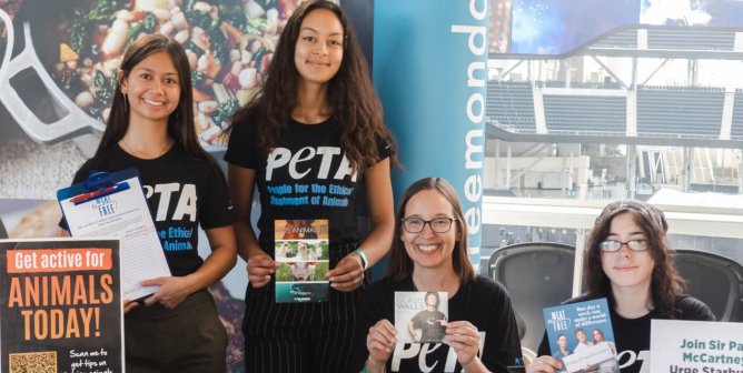 6 Ways Scouts Are Pulling Out All the Stops for Animals