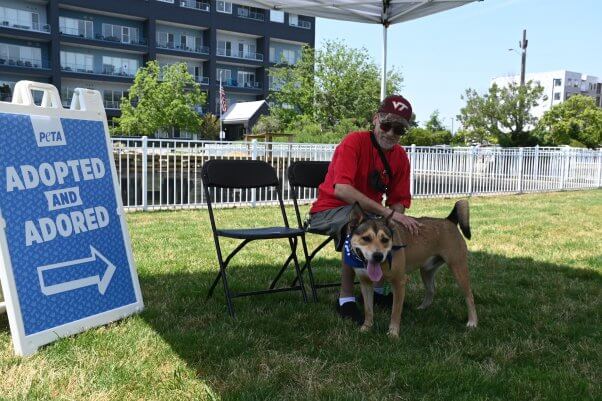 Man in red shirt sitting and petting large brown dog