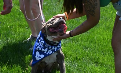 PHOTOS: PETA’s 2022 Poochella Festival Helps Virginia Dogs Find Loving Homes