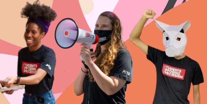 Get Paid to Lead the Charge Against Speciesism—Become an SOS Campus Rep