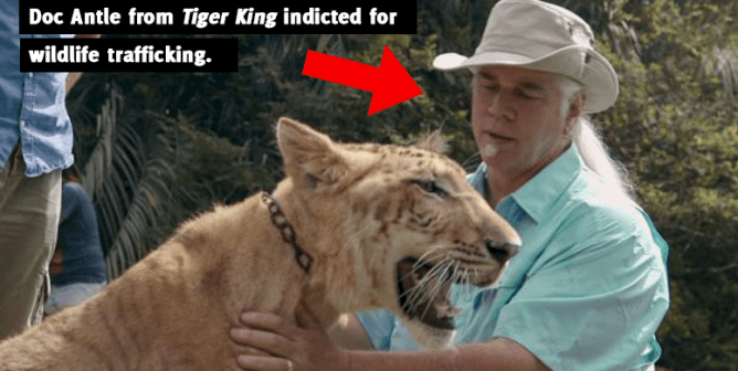 PETA Predicts the Next ‘Tiger King’ Villain to Go Down: ‘Doc’ Antle