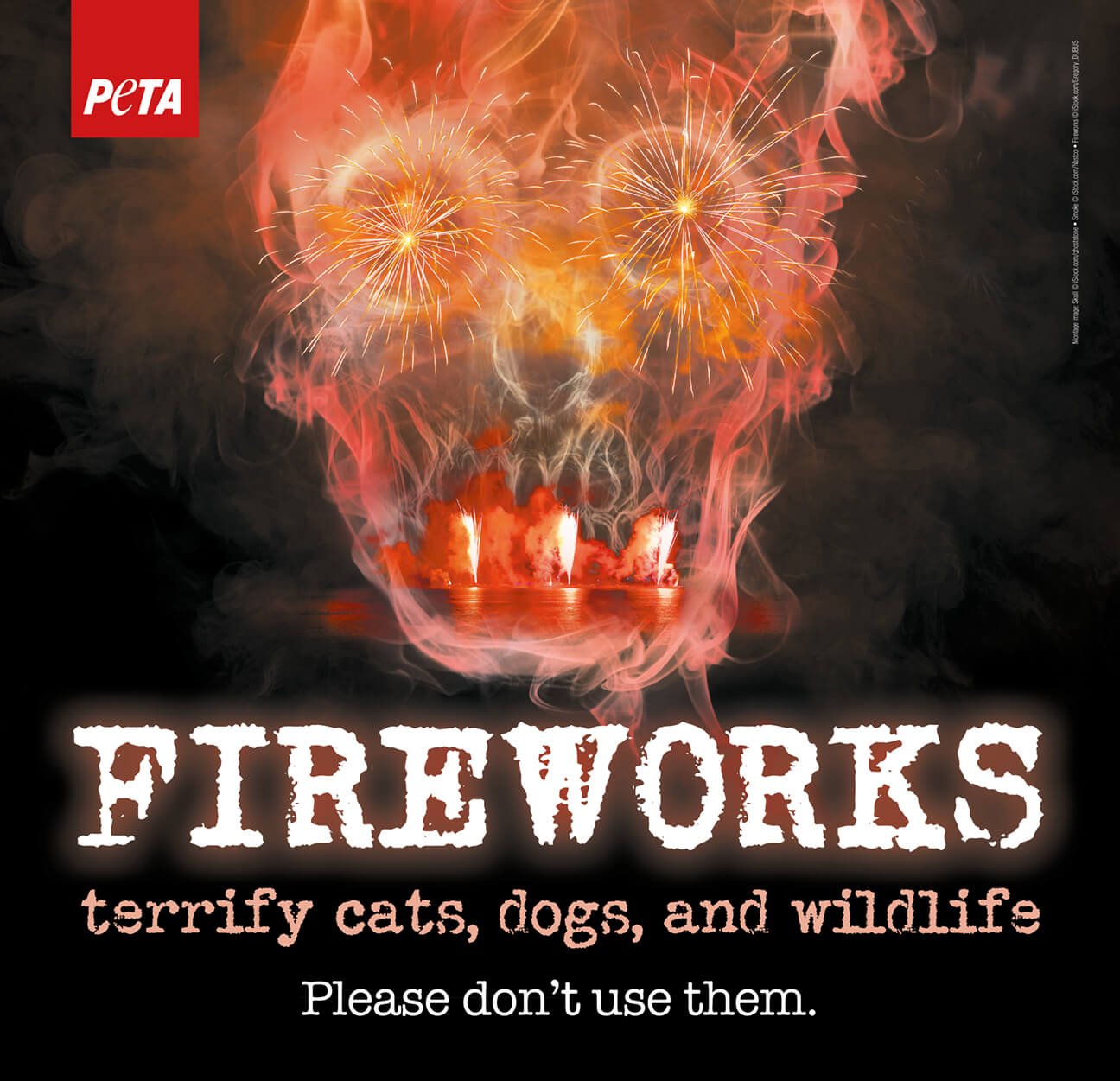 end of year victories by PETA supporters involving temporary fireworks ban in Phoenix, Oregon