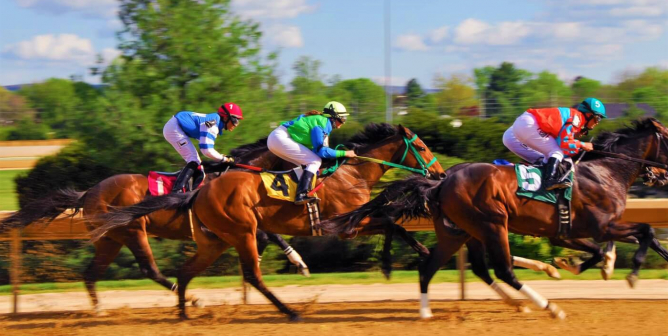 Veterinarian Responsible for Racehorse Laoban’s Death Gets License Suspended