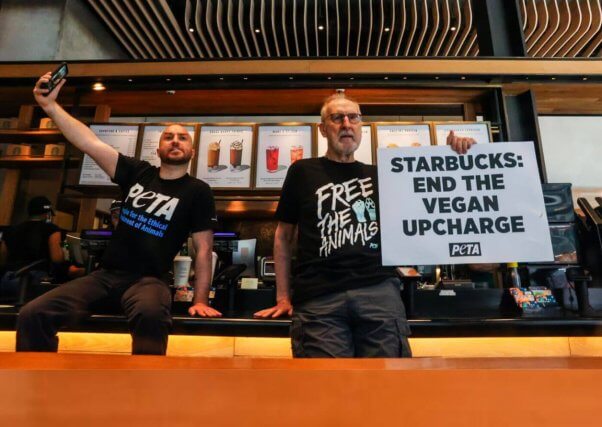 james-cromwell-against vegan milk surcharge at Starbucks