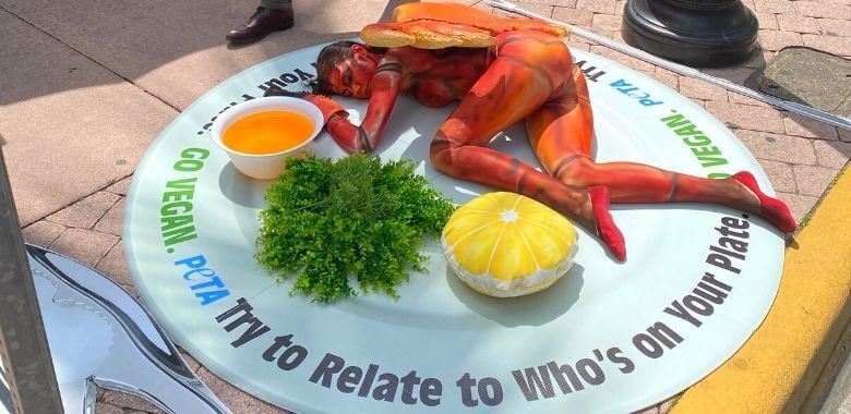 Joe’s Stone Crab Feels Pinch Over Live Dismemberment
