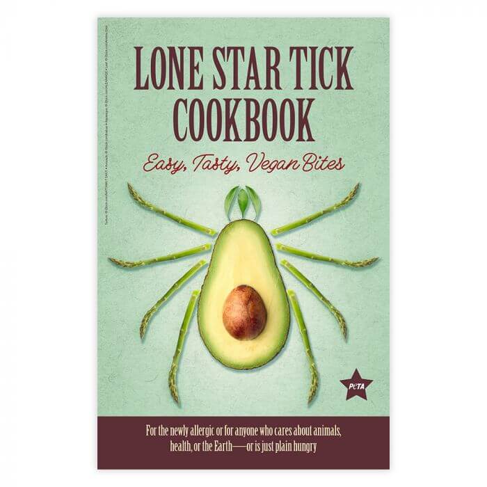 lone star tick cookbook