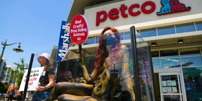 American Humane Continues to Overlook Cruelty, Certifies Petco as Its First ‘Pet’ Provider