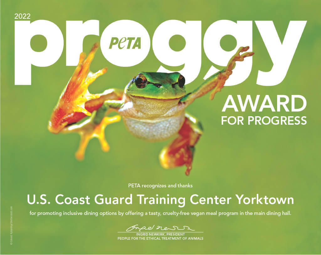 proggy award yorktown