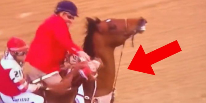 VIDEO: 2022 Kentucky Derby Winner ‘Rich Strike’ Punched in the Face by Outrider