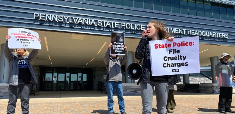 State Police HQ Faces Ruckus Over Inaction in Turkey Abuse Case