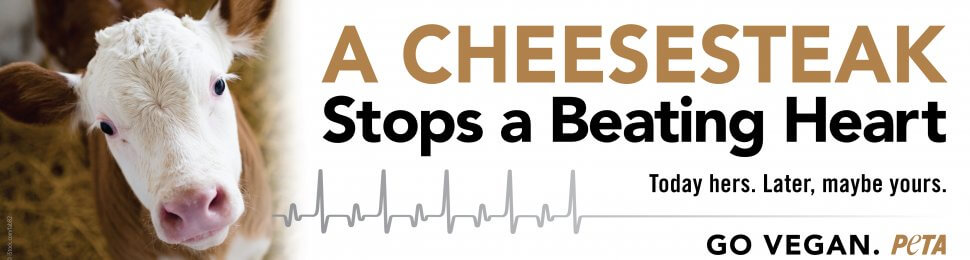 A Cheesesteak Stops A Beating Heart
