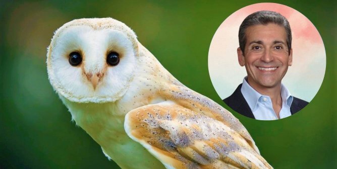 Feds Use Your Tax Money to Torture Owls Illegally at Johns Hopkins—This Needs to Stop