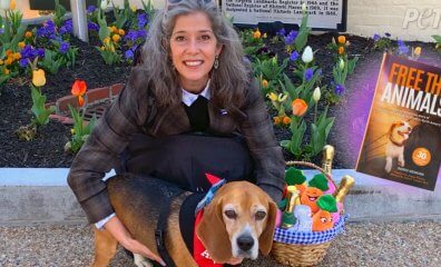 VIDEO: She Read About Beagles Trapped in Labs in 1994—Now She Helps Save Them