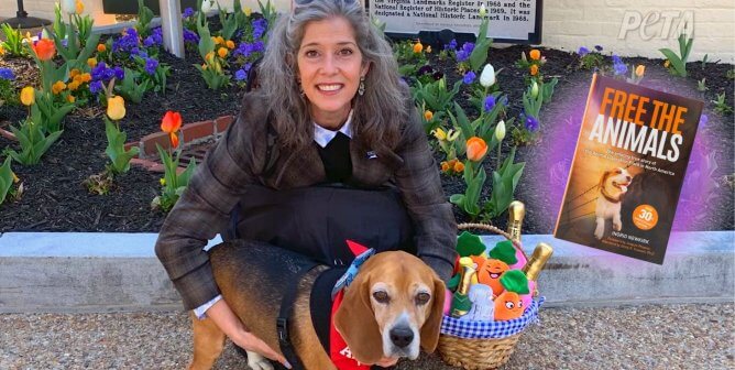 Daphna with rescued beagle, free the animals book cover