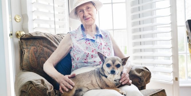 After PETA’s Rescue, Formerly Chained Chihuahua Is Unrecognizable (Video)