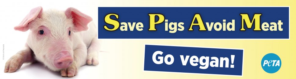 Save Pigs Avoid Meat. Go Vegan!