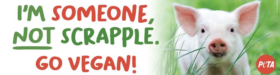 I’m Someone, Not Scrapple. Go Vegan!